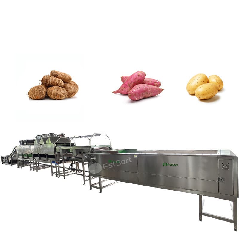 images/1768966405785potato processing 2.jpg